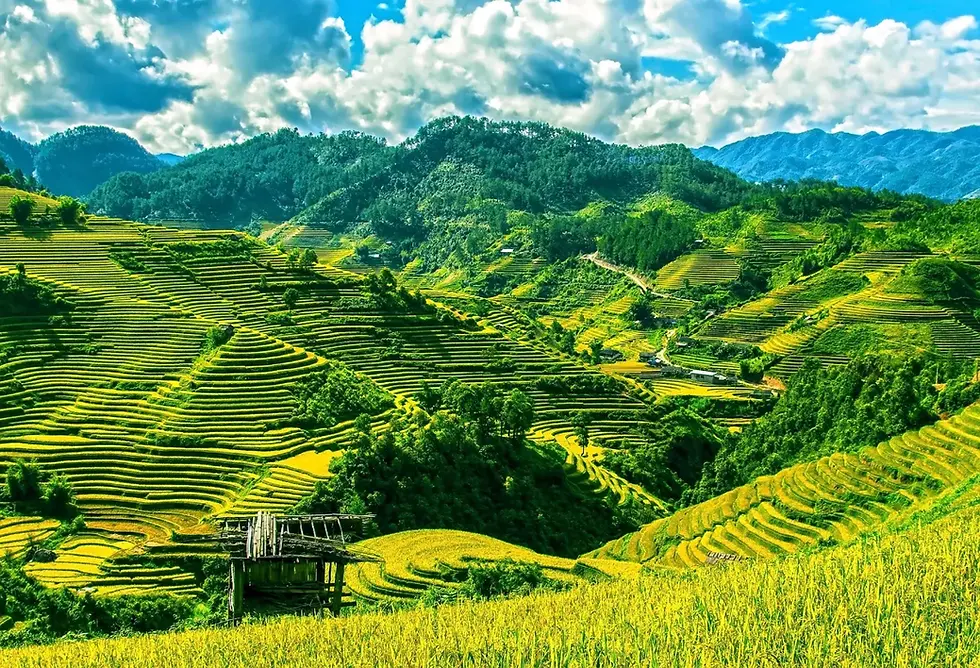 Bill extends foreigner land leases to 99 years