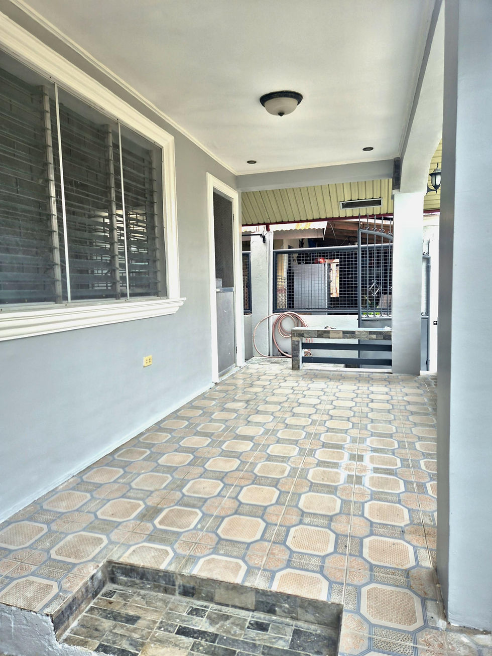 San Carlos city saint john HL157 010.jpg