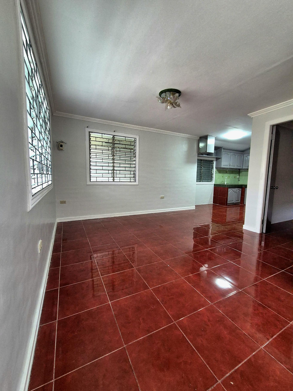 San Carlos city saint john HL157 008.jpg