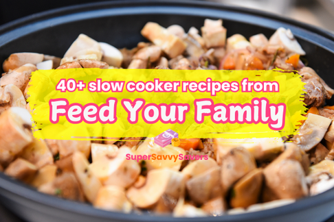feed your family slow cooker recipes