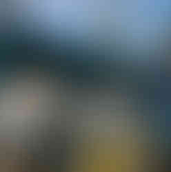 Gemini 7 and Gemini 6A capsules in Florida