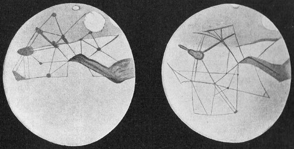 Percival Lowell's Martian canals