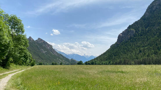 IMG_5184.jpeg