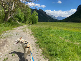 IMG_5073.jpeg