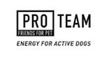 PROTEAM_edited.jpg