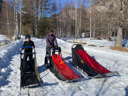 initiation à la conduite traineau-dingo