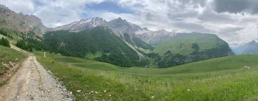 IMG_5220.jpeg