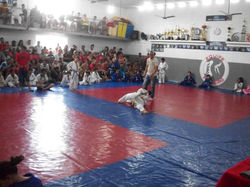 100_4566 (Medium).JPG