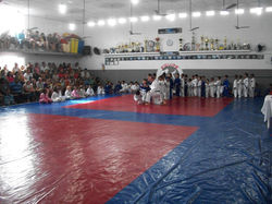 100_4226 (Medium).JPG