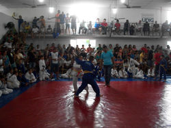 100_4391 (Medium).JPG