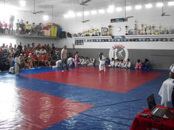 100_4337 (Medium).JPG