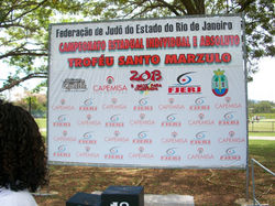 campeonato estadual de 2013 001 (Medium).JPG