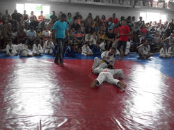 100_4407 (Medium).JPG