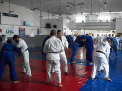 100_4204 (Medium).JPG