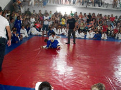 100_4545 (Medium).JPG