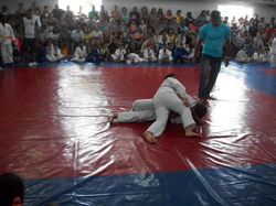 100_4510 (Medium).JPG