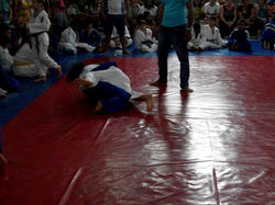 100_4440 (Medium).JPG