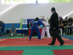 copa regional baixada 003 (Medium).JPG