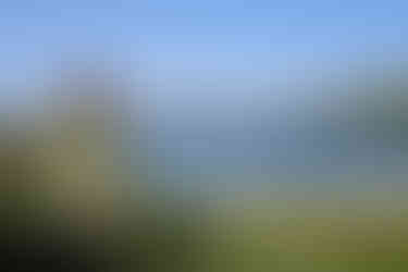 MARIA Dzogchen beara