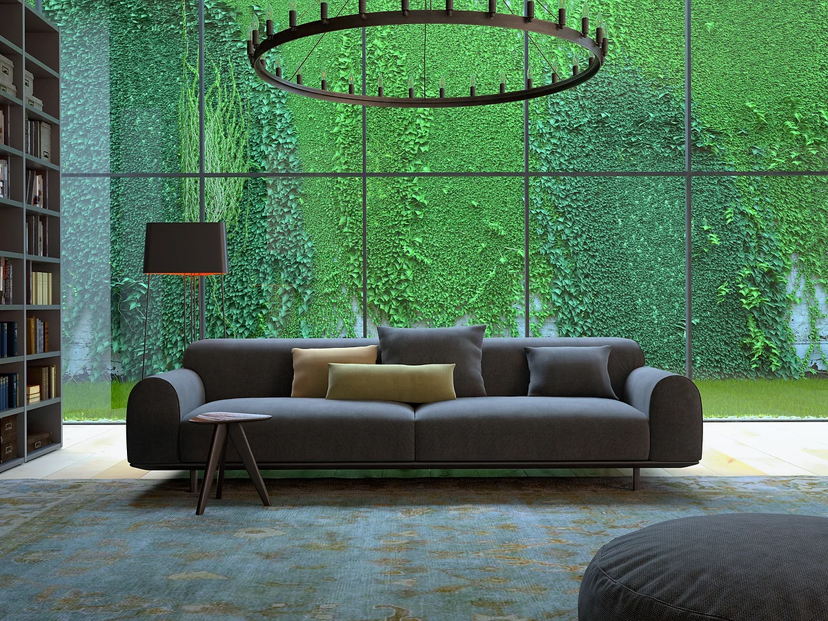 sofa