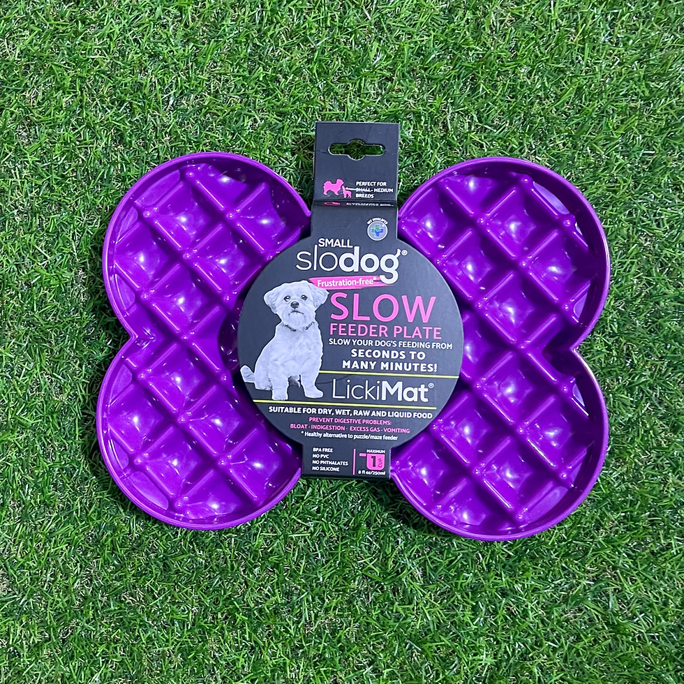 Thumbnail: SLODOG MINI SLOW FEEDER PLATE