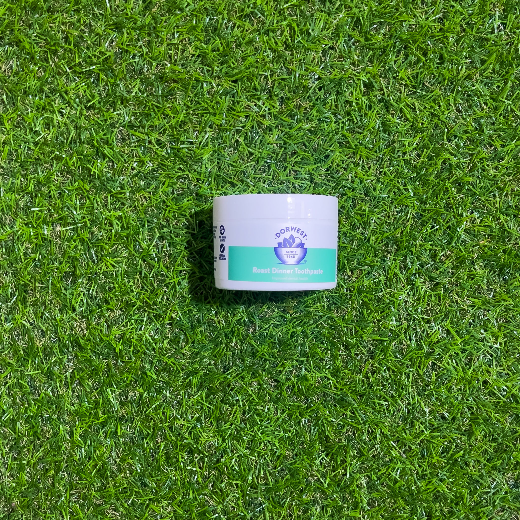 DORWEST ROAST DINNER TOOTHPASTE