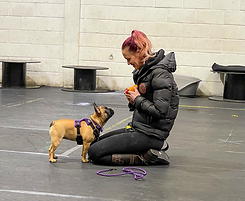 charis and penny training.HEIC