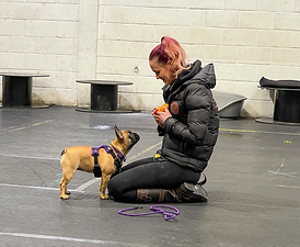 charis and penny training.HEIC