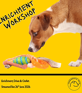 enrich-1.png