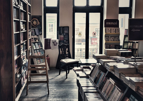 Cozy Bookstore Interior
