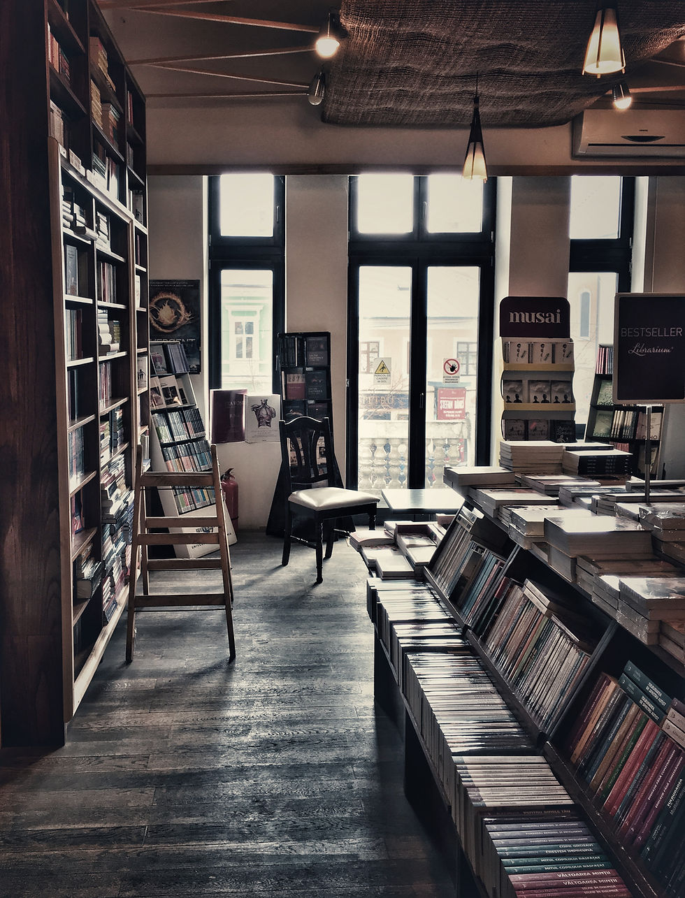 Cozy Bookstore Interior