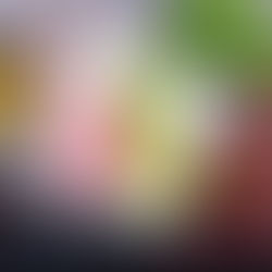 ¿Cómo hago la transición a BARF?