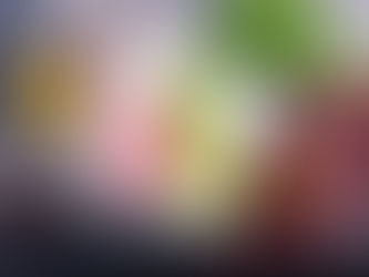 ¿Cómo hago la transición a BARF?