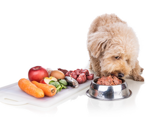 ¿Qué son los macro y micronutrientes y para qué sirven?