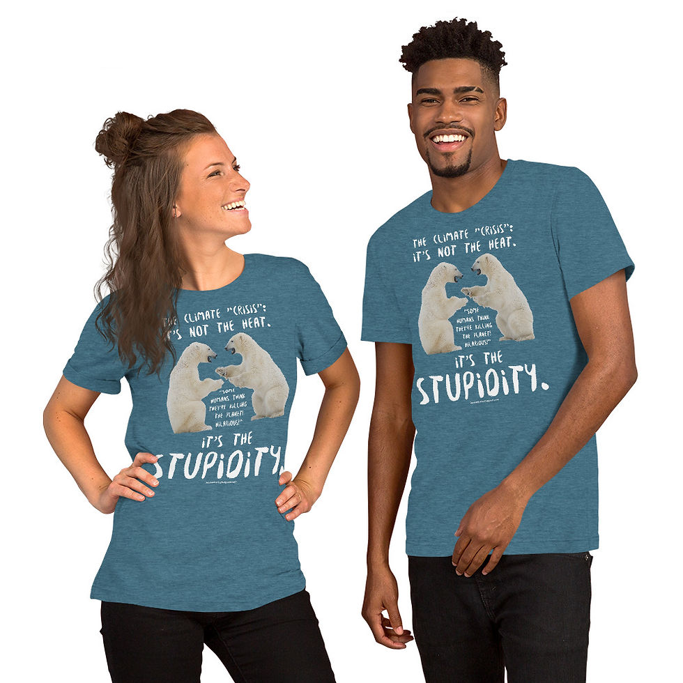Thumbnail: Climate "Crisis" Unisex t-shirt