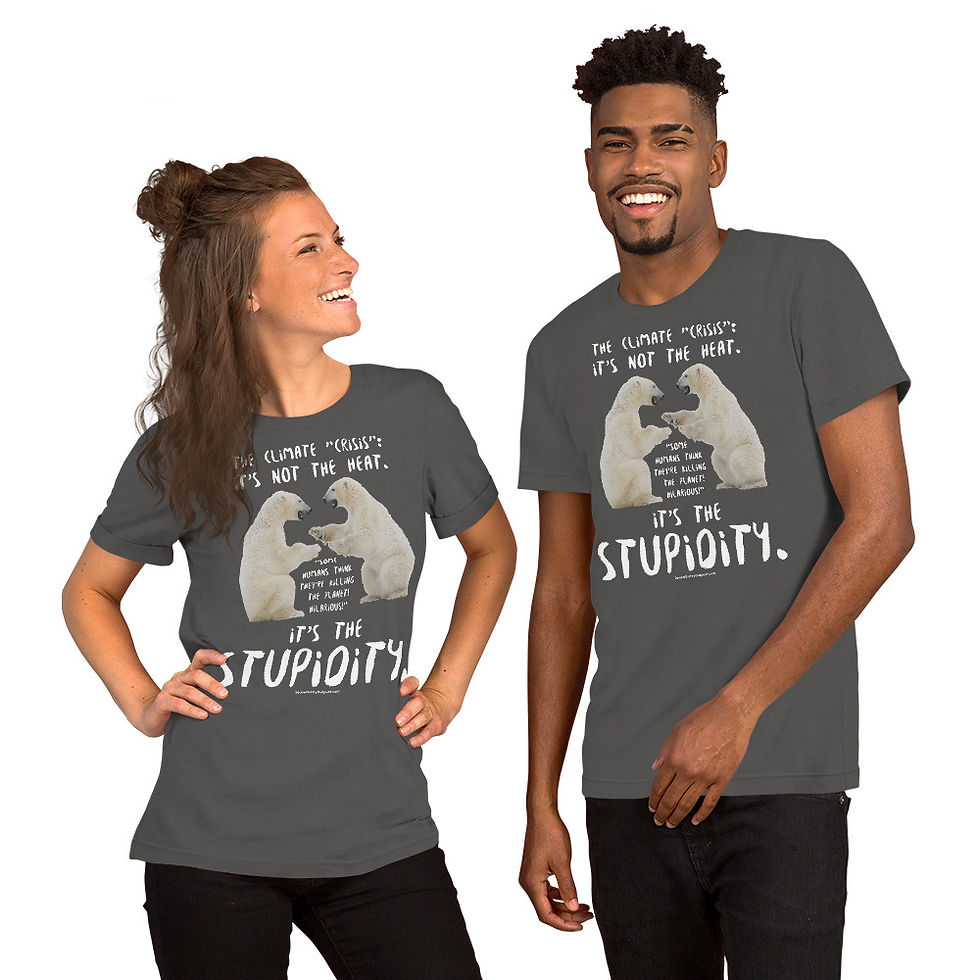 Thumbnail: Climate "Crisis" Unisex t-shirt