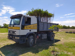 plantacion de Crespones