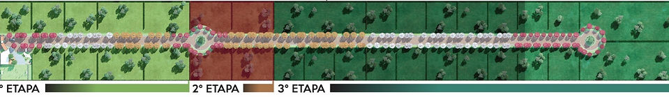 MASTERPLAN DE LAS 3 ETAPAS