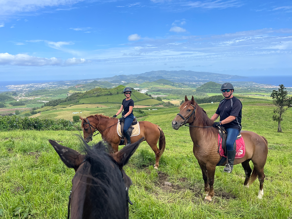 Estrela hátáról fényképezve Espanol és Roma, egy nyugodt vérmérsékletű, portugál fajta