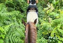 Képernyőfotó 2026-03-20 - 11.16.41.png