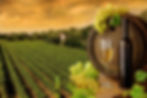 Wine-in-Tuscany.jpg