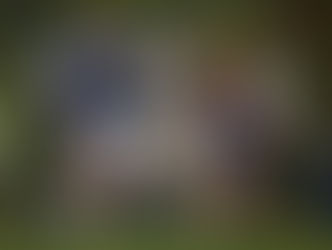 East Lothian v Co-optimists