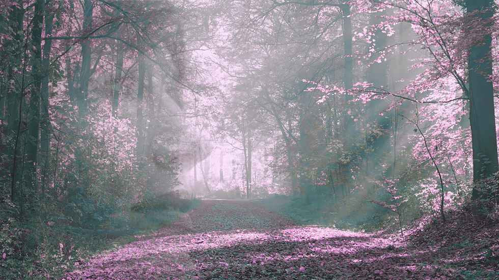 thinking back on yesteryear - pink.png