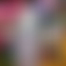 Shopping in Bad Aussee - the Ischlerstrasse