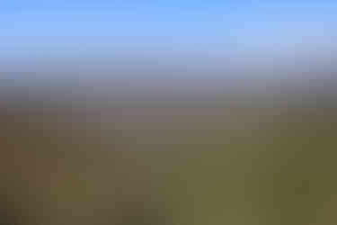 paradise Rocks lookout 