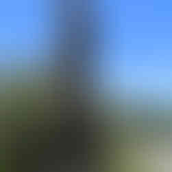 Sculptures in Walcha 