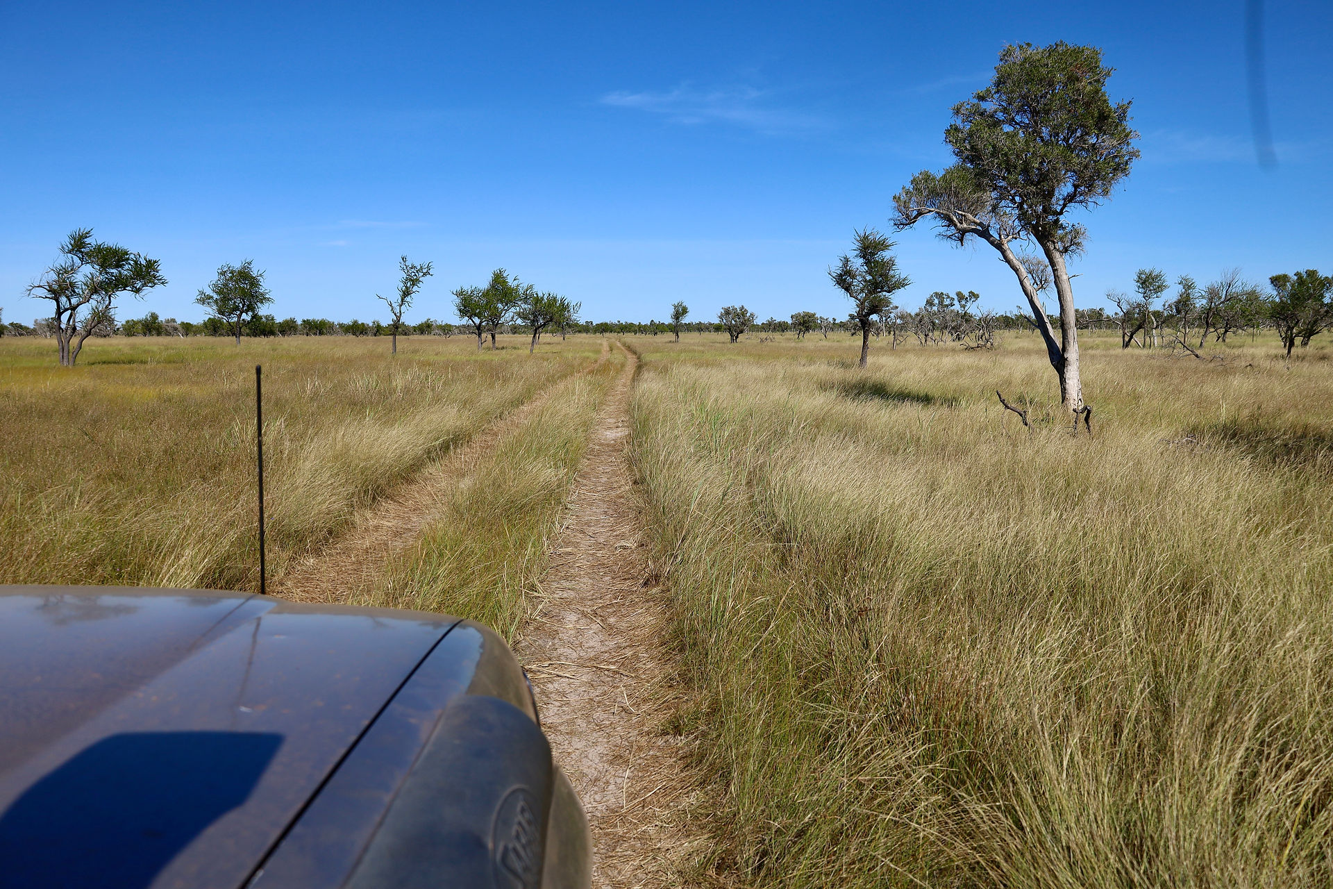 Woolgoolgaoffroad at Seven Emu station 