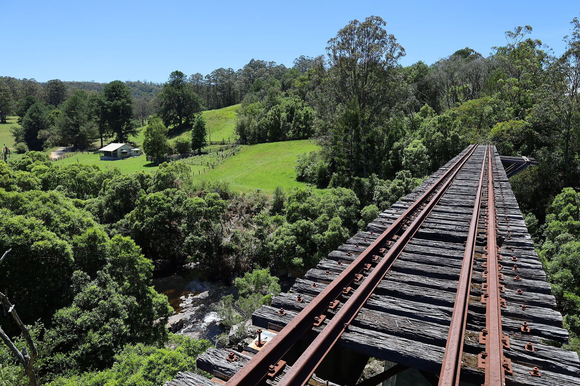 disused glenreagh mountain rail line 