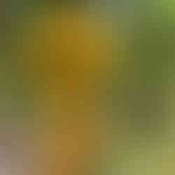 WARNINGS DOWN INTO HALLS PEAK 