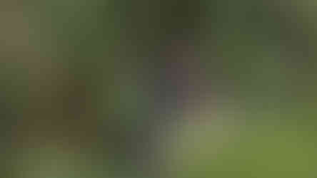 Woolgoolgaoffroad and a waterfall